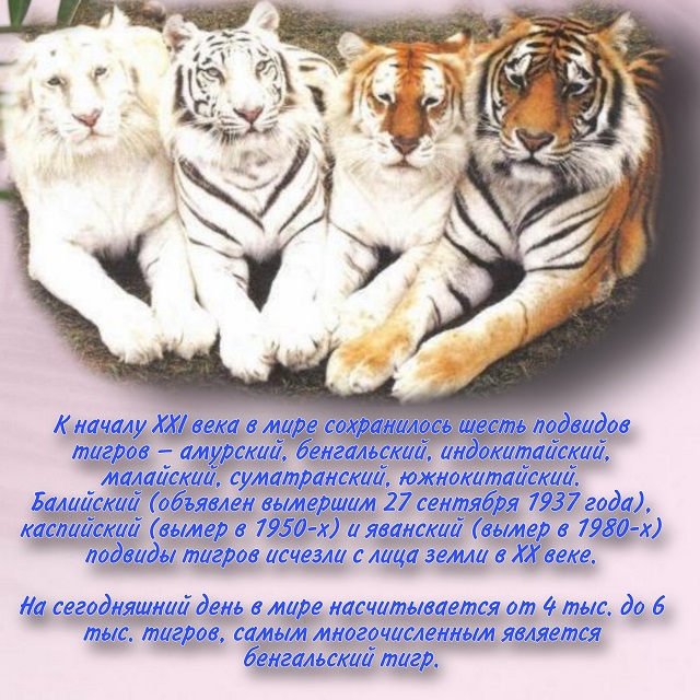 foto 30 07 2021 08 50 2