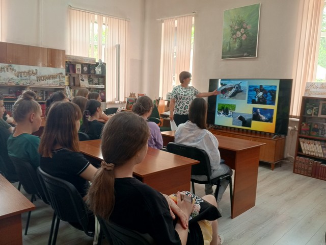 foto 2025 06 30 10 49 003