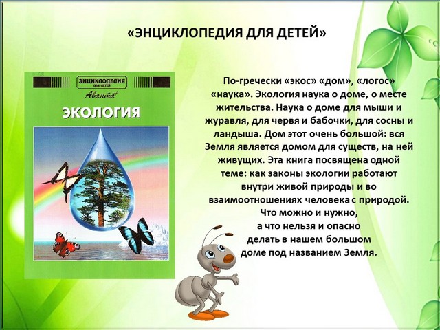 foto 2025 08 06 16 19 002