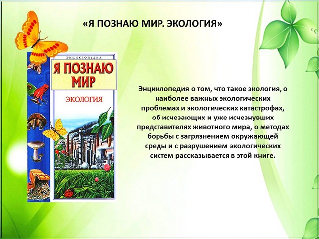 foto 2025 08 06 16 19 003